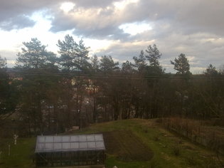 Natural envirovment from my window :) solution